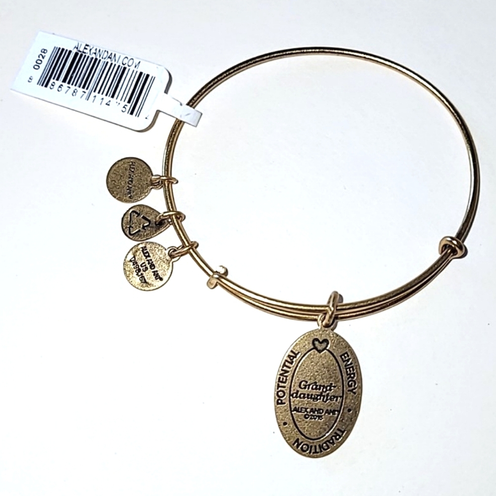 ALEX AND ANI "GRANDDAUGHTER" CHARM BANGLE BRACELET - 2016 - Picture 7 of 7